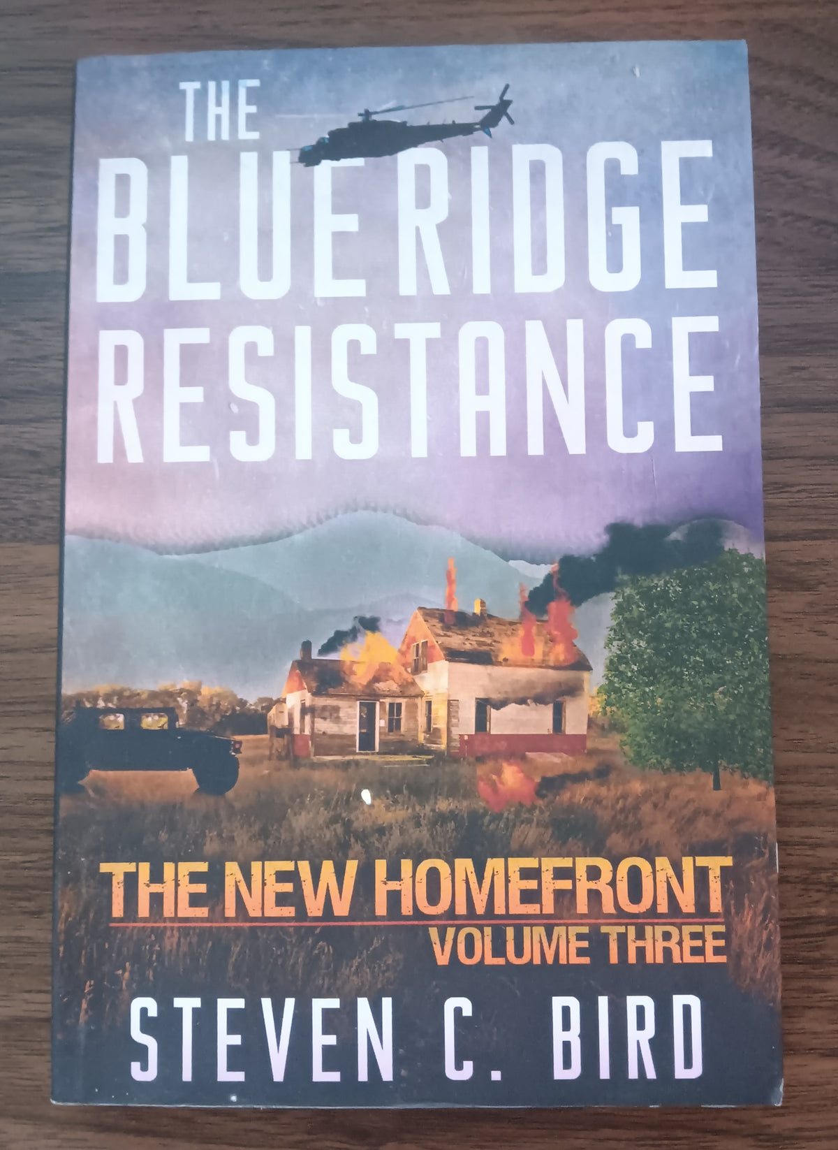Blue Ridge Resistance Steven C. Bird New Homefront 3 Paperback