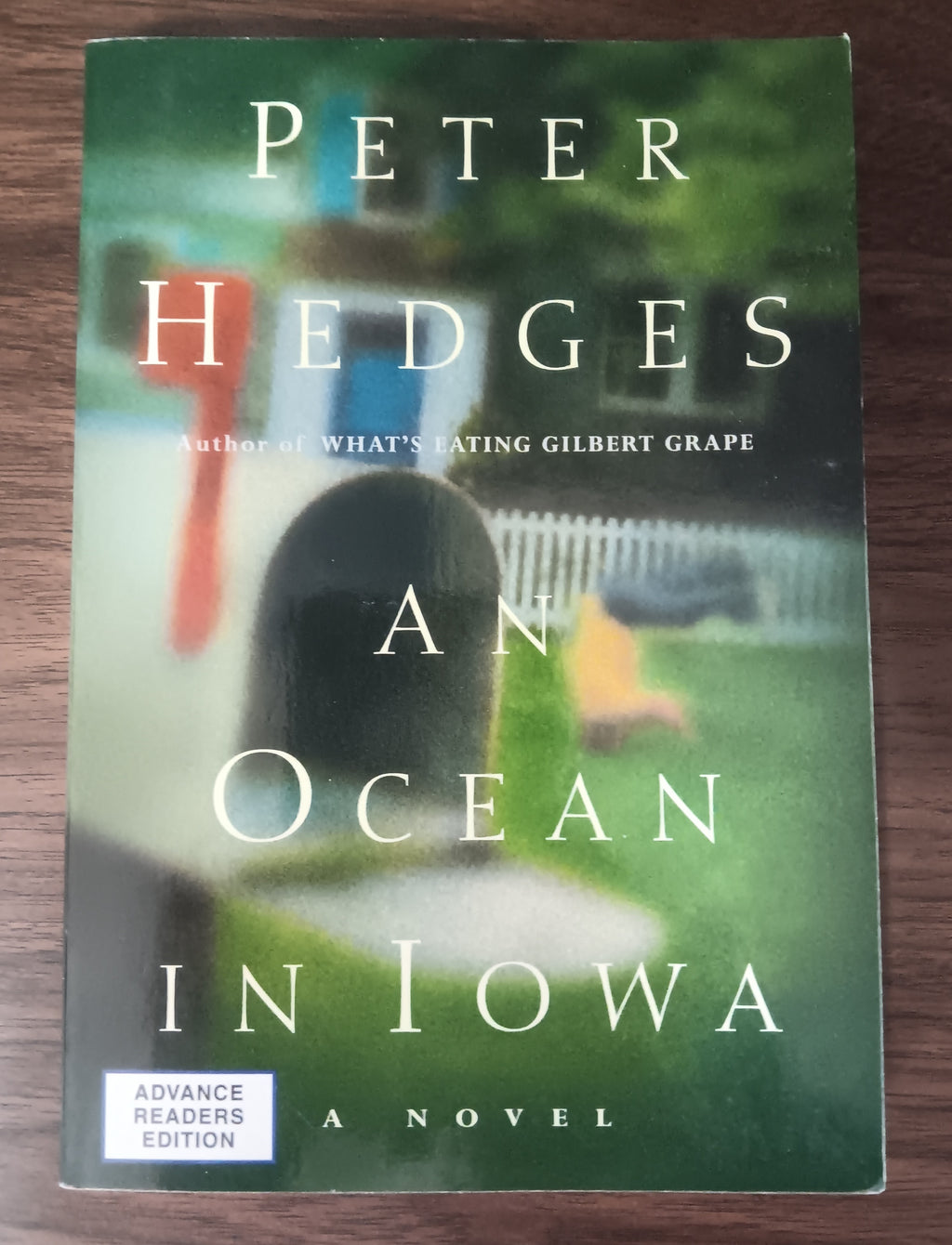 An Ocean in Iowa by Peter Hedges — Advance Reading Copy Paperback