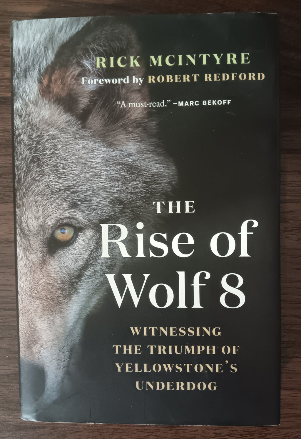 The Rise of Wolf 8 by Rick McIntyre — Hardcover