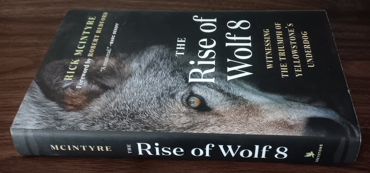 The Rise of Wolf 8 by Rick McIntyre — Hardcover