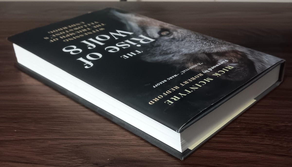 The Rise of Wolf 8 by Rick McIntyre — Hardcover