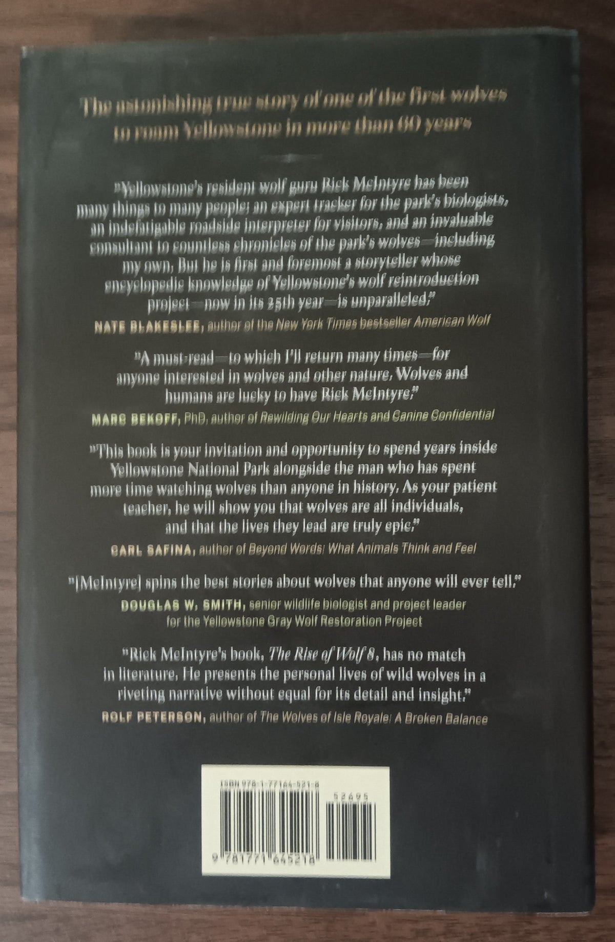 The Rise of Wolf 8 by Rick McIntyre — Hardcover