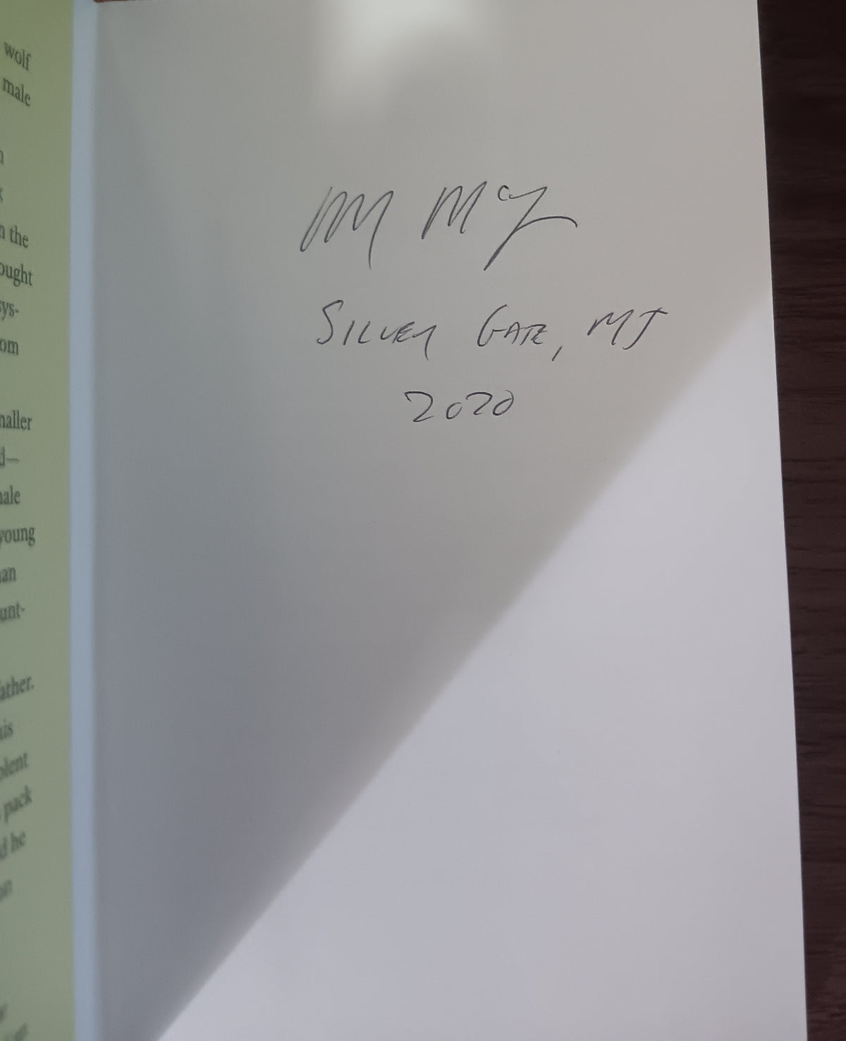 The Rise of Wolf 8 by Rick McIntyre — Hardcover